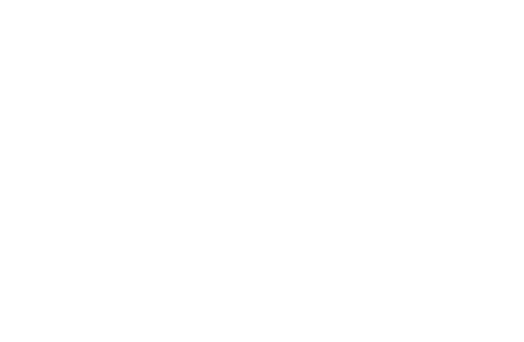 Brandy Melville – SLO